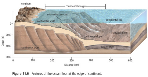 Oceans control the water cycle - Ocean Basins